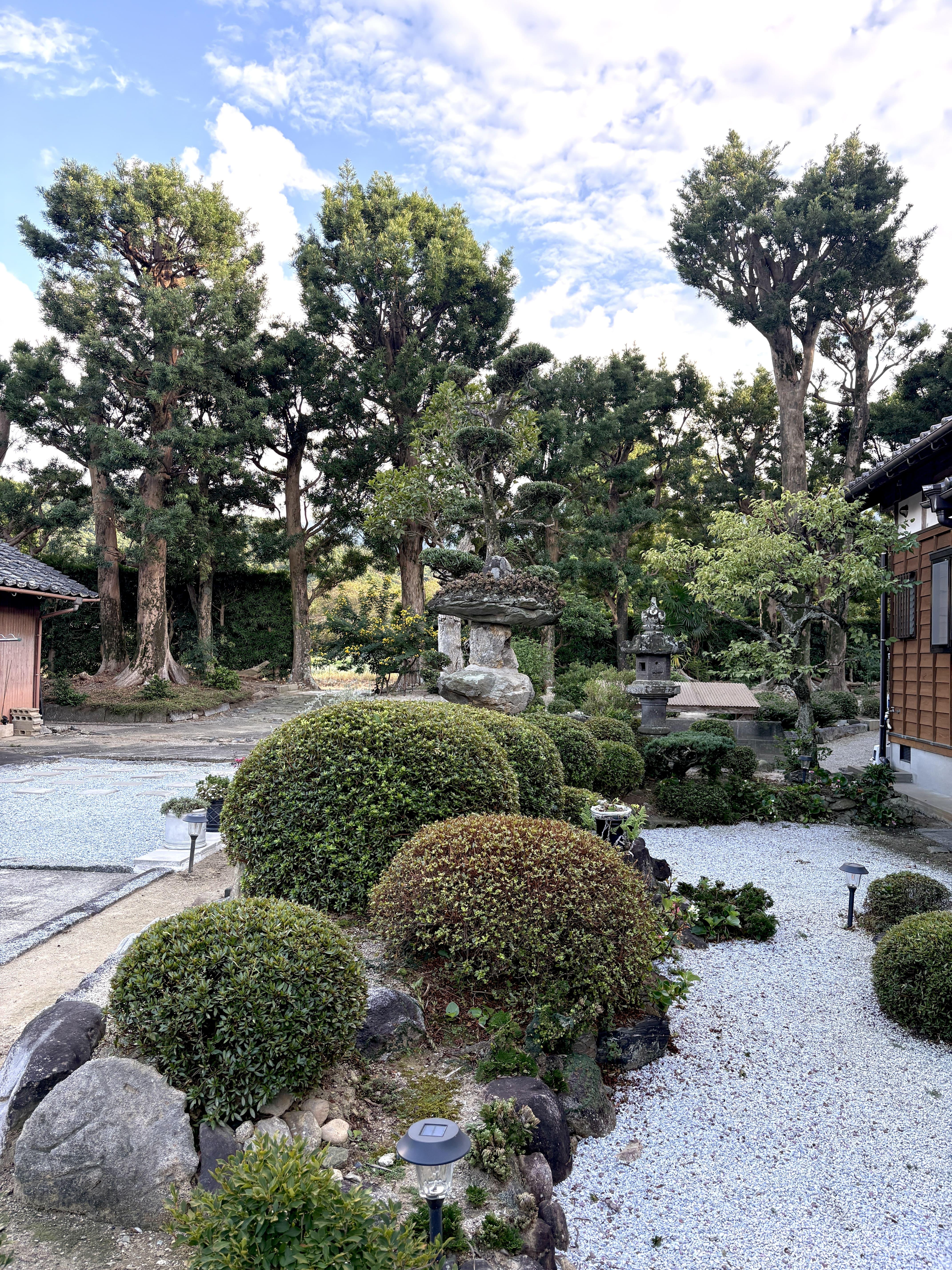 糸島　福岡　林業　伐採　大木　樹木　請負